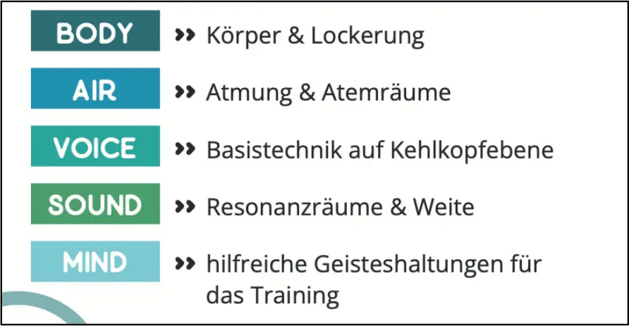 Gesundes Stimmtraining & Praxiswissen Aufbau
