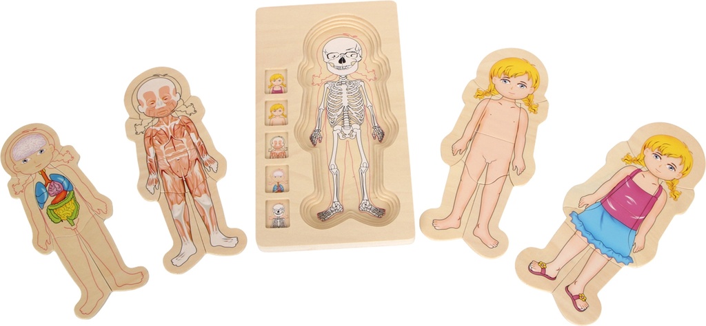 Schichtenpuzzle Anatomie Mädchen