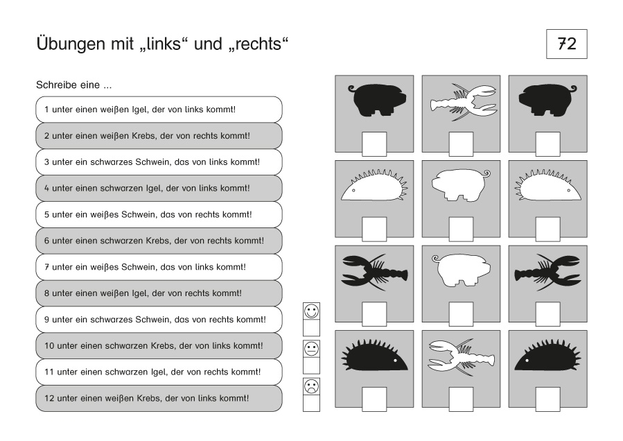 Exaktes Lesen trainieren 8 PDF