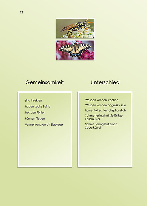 Bücher-Set: Beobachten, Hören, Erkennen