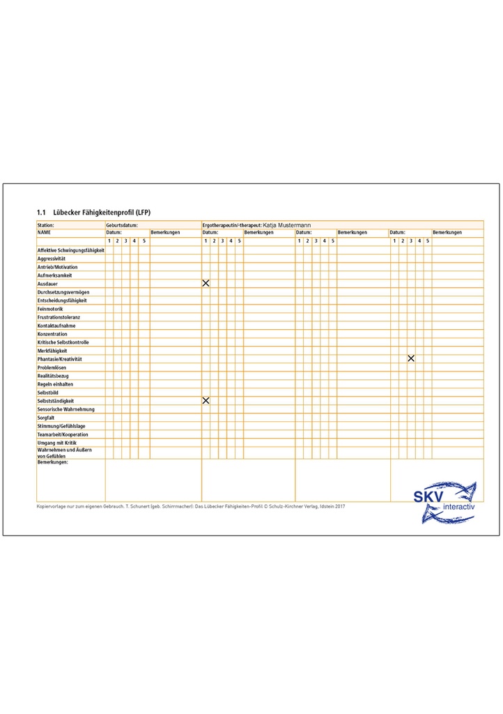 Das Lübecker Fähigkeitenprofil (LFP) – interaktiv PDF