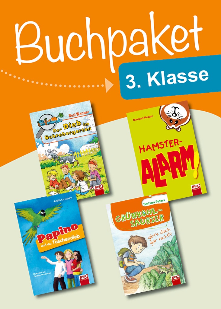 Buchpaket Lesezeit Klasse 3*